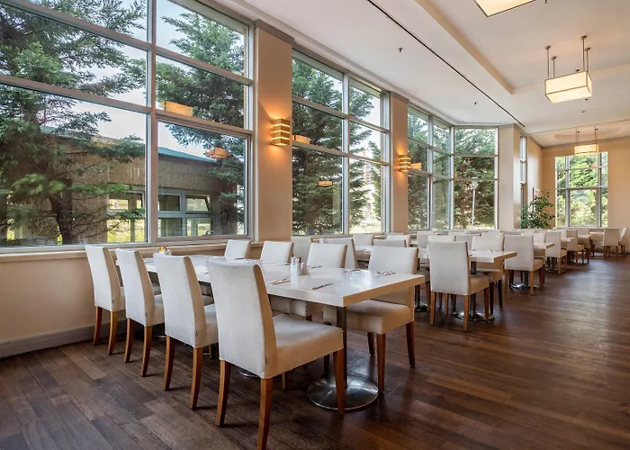 Wow Airport Отель 4*