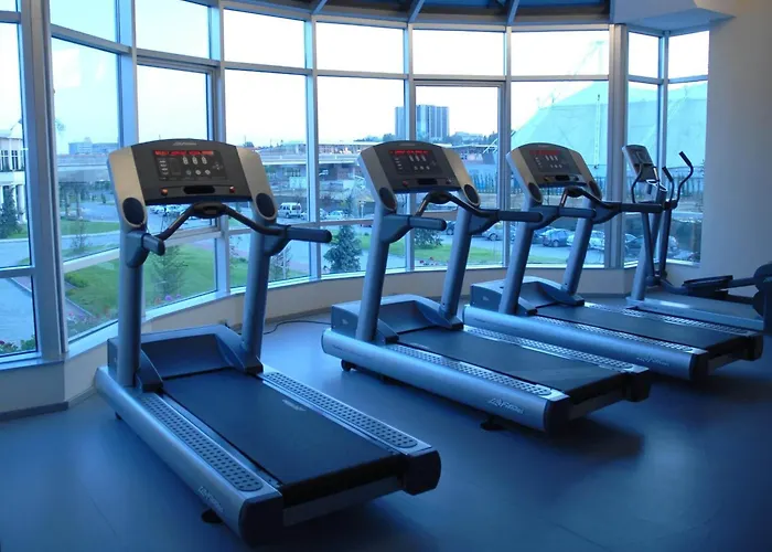 Wow Airport Hotell Istanbul