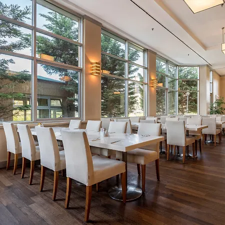 Wow Airport Hotel 4*